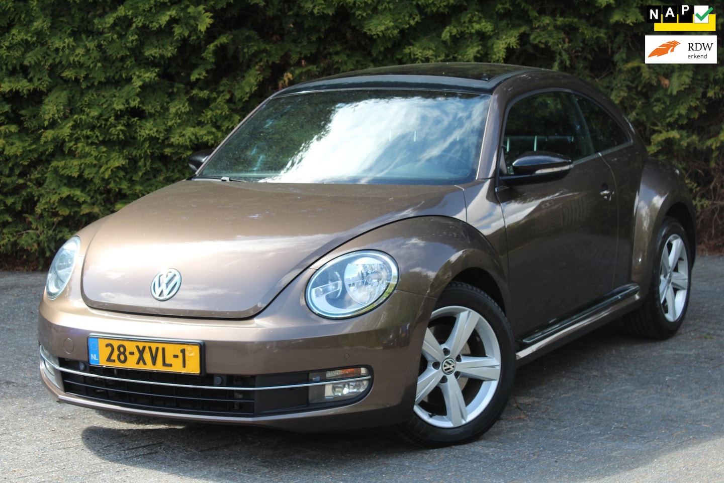 Volkswagen Beetle - 1.4 TSI Sport 160PK | Panoramadak | Stoelverwarming | Lederen bekleding | Navigatie - AutoWereld.nl