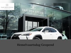 Lexus UX - 250h Business Line | Groot Scherm | Camera