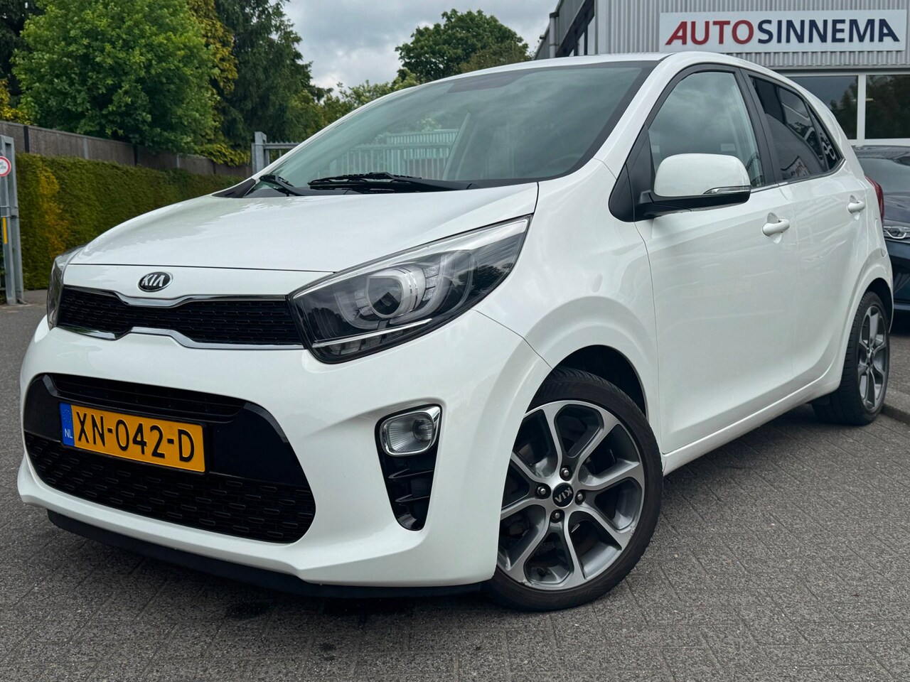 Kia Picanto - 1.0 CVVT Design Edition | All Season | Climate Control | Leder | Cruise Control | - AutoWereld.nl