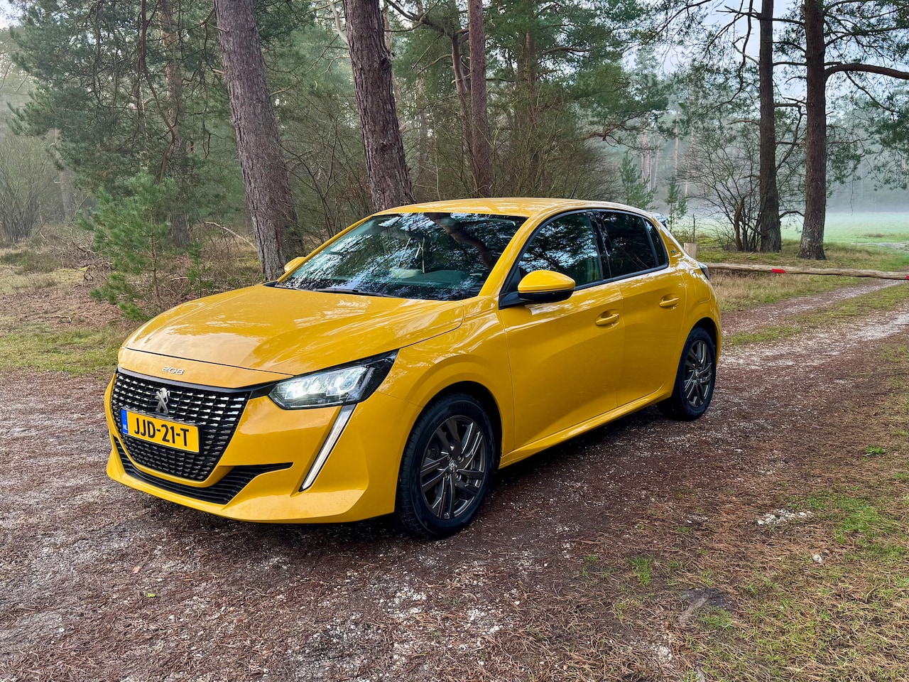 Peugeot 208 - 1.2 PureTech Allure Nieuwe Riem | Automaat | APK - AutoWereld.nl