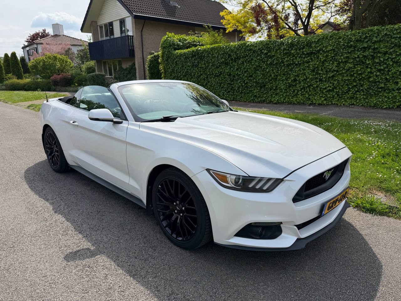Ford Mustang Convertible - 2.3 EcoBoost Performance GT - AutoWereld.nl
