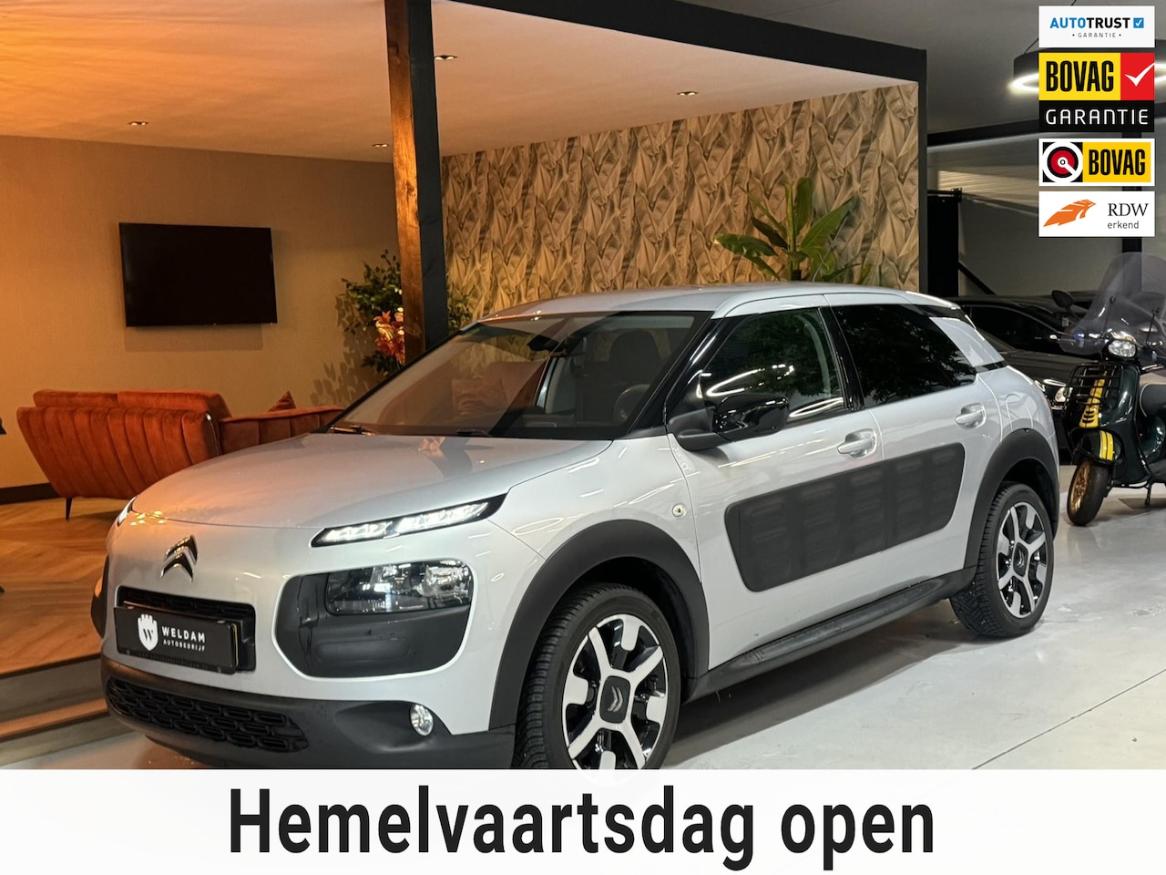 Citroën C4 Cactus - 1.2 PureTech Shine NAP Garantie Nieuwe Riem Trekhaak Cruise Navi Led Clima Rijklaar - AutoWereld.nl
