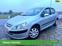 Peugeot 307 - 1.6-16V XS NAP 5DRS AIRCO NIEUWE APK ELEK.RAMEN 1E EIGENAAR