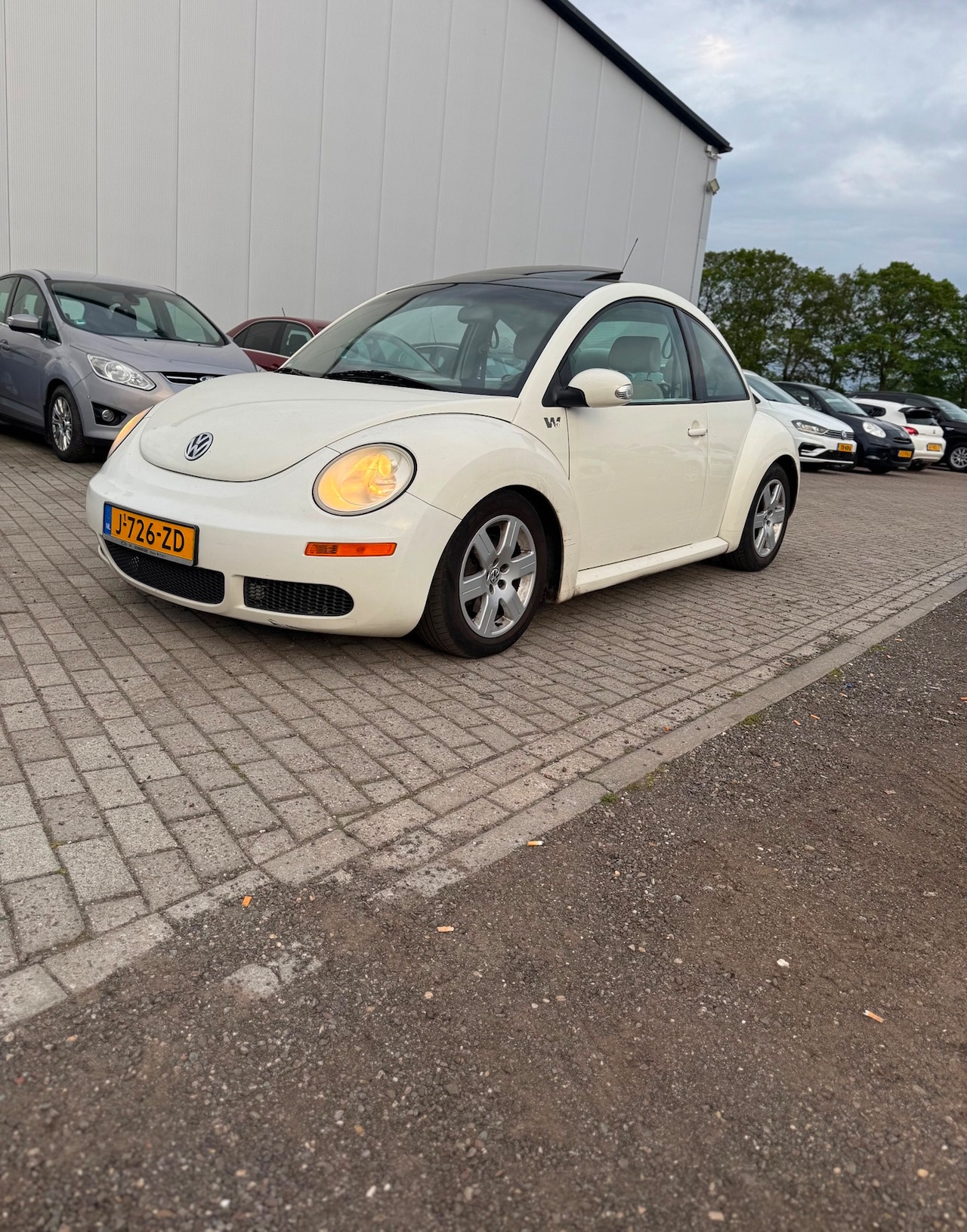 Volkswagen New Beetle - AutoWereld.nl