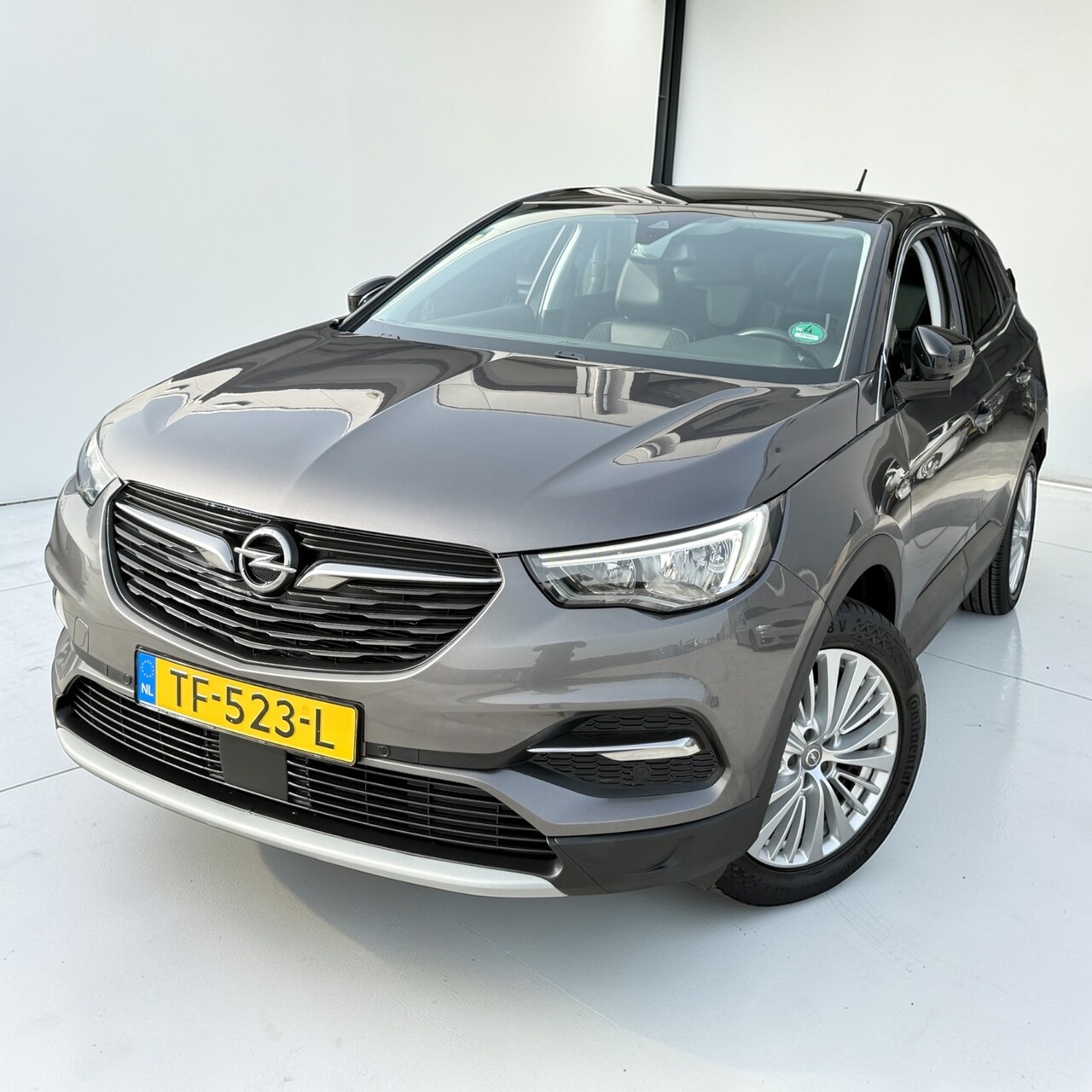 Opel Grandland X - 1.2 Turbo Business Executive panoramadak - AutoWereld.nl