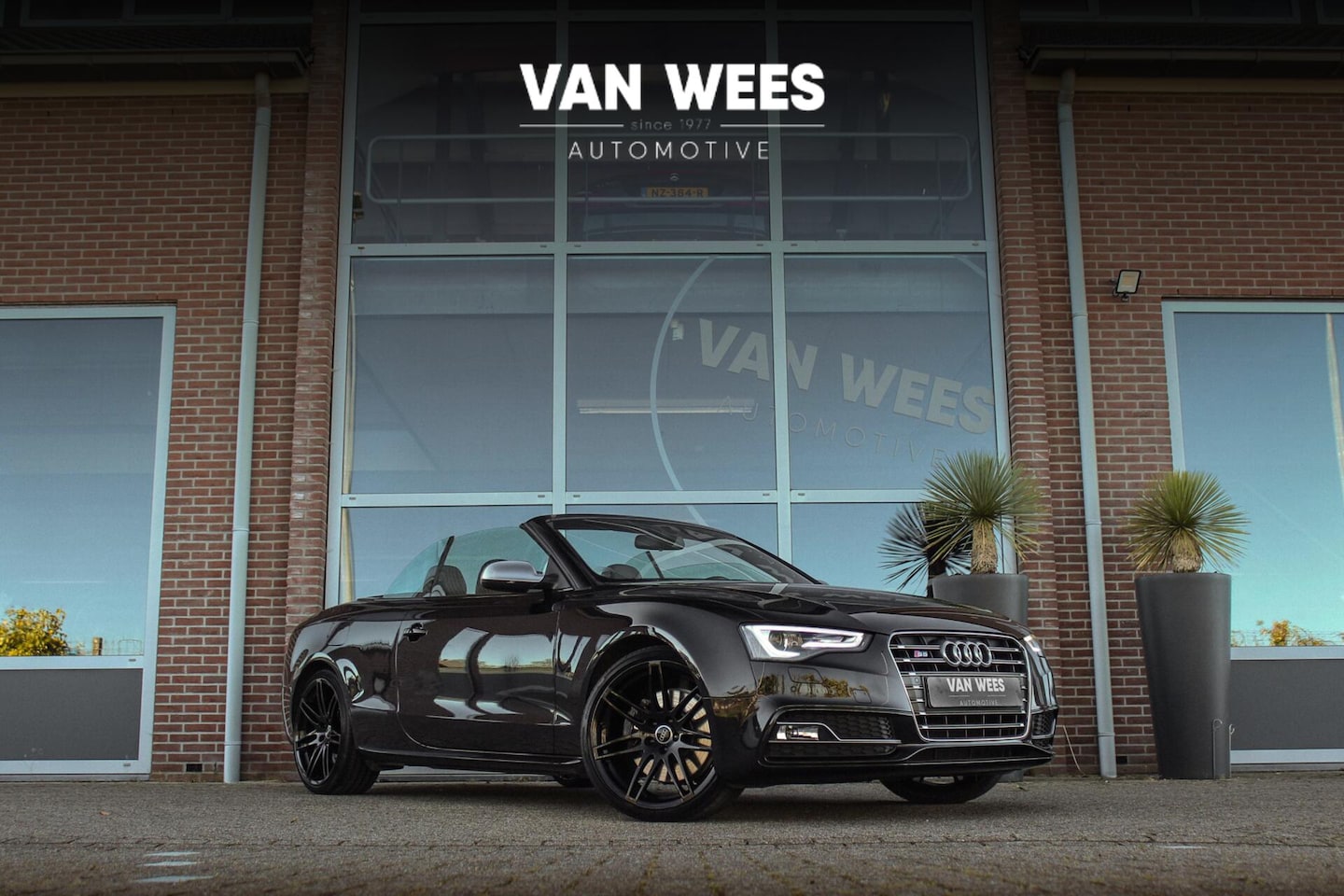 Audi S5 - 3.0 TFSI Cabriolet quattro Pro Line | 2e eigenaar | B&O audio | Nekverwarming | Stoelventi - AutoWereld.nl