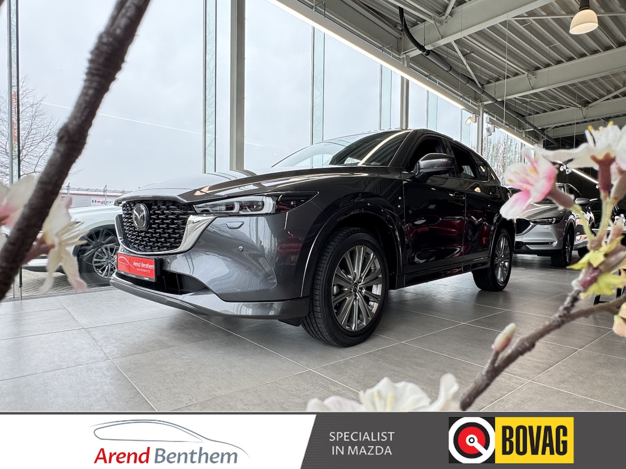 Mazda CX-5 - Occasions 20 stuks op voorraad vanaf €13.950,- - AutoWereld.nl