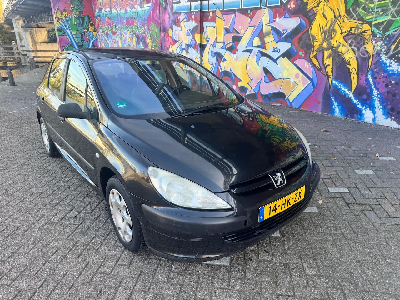 Peugeot 307 - 1.6-16V XR airco elektrische ramen cv trekhaak rijd heerlijk lak op dak niet mooi - AutoWereld.nl