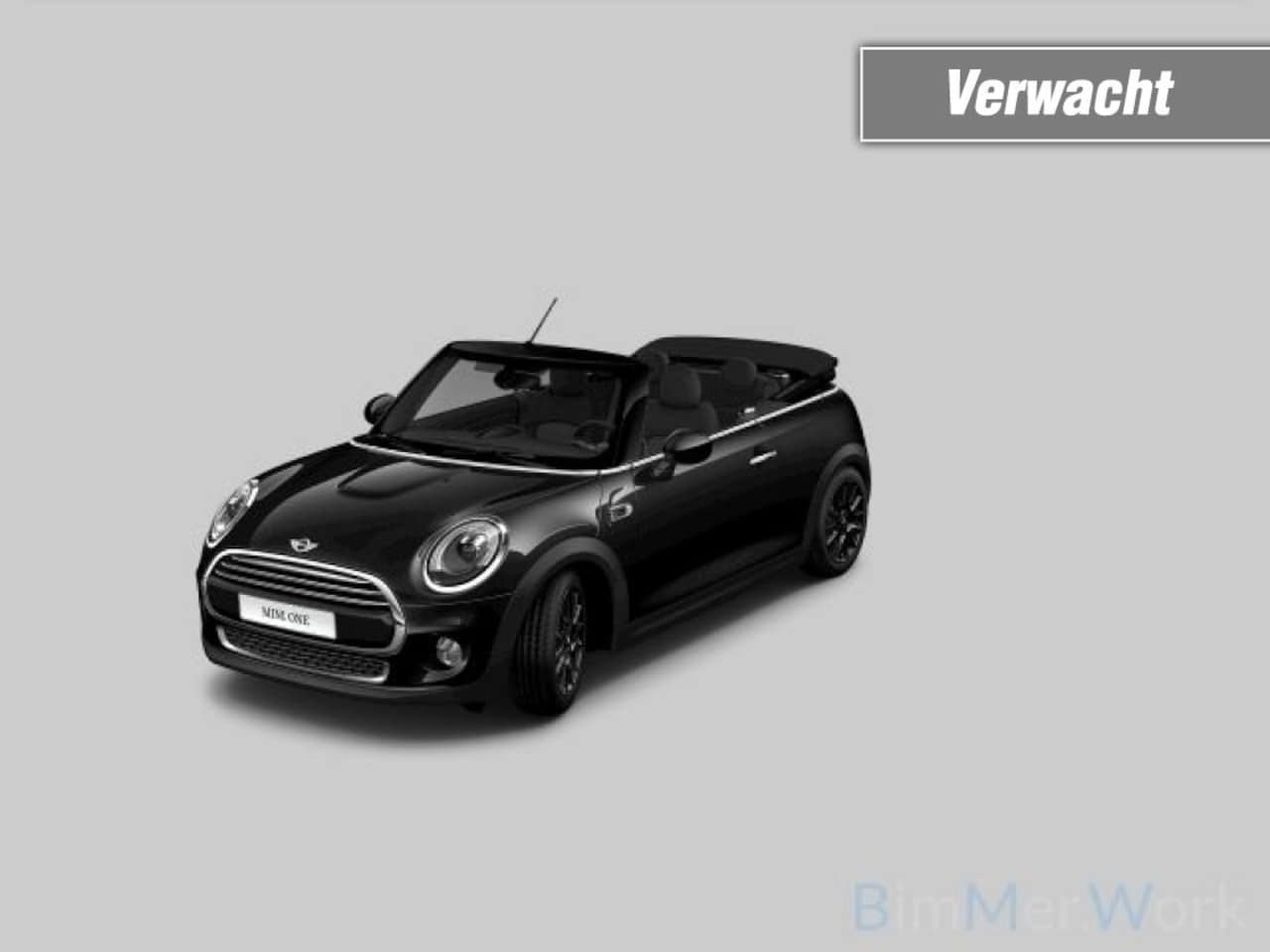 MINI Cabrio - 1.2 Chili,LED,Half Leer,Keyless,Climate,Cruise,Stoelverw,PDC, - AutoWereld.nl