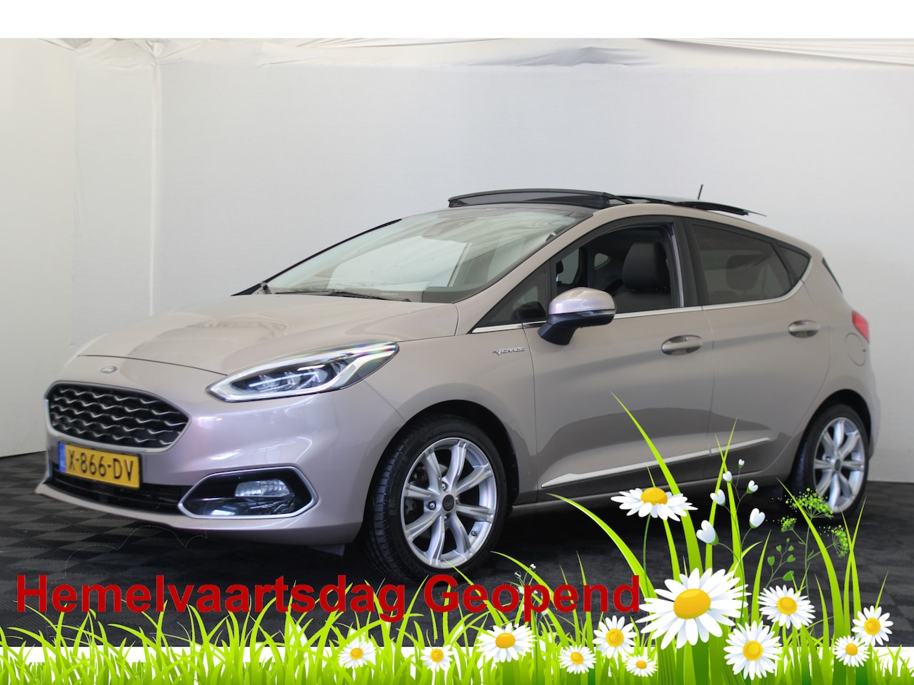 Ford Fiesta - 1.0 EcoBoost Vignale |Pano|Stoel/stuur verw.|Camera| - AutoWereld.nl