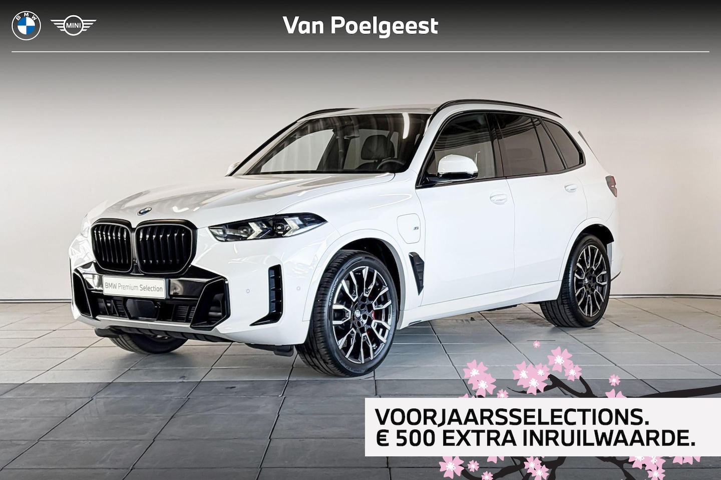 BMW X5 - xDrive50e - M Sport Pro | Innovation Pack | Trekhaak |  Driving Assistant Professional | C - AutoWereld.nl