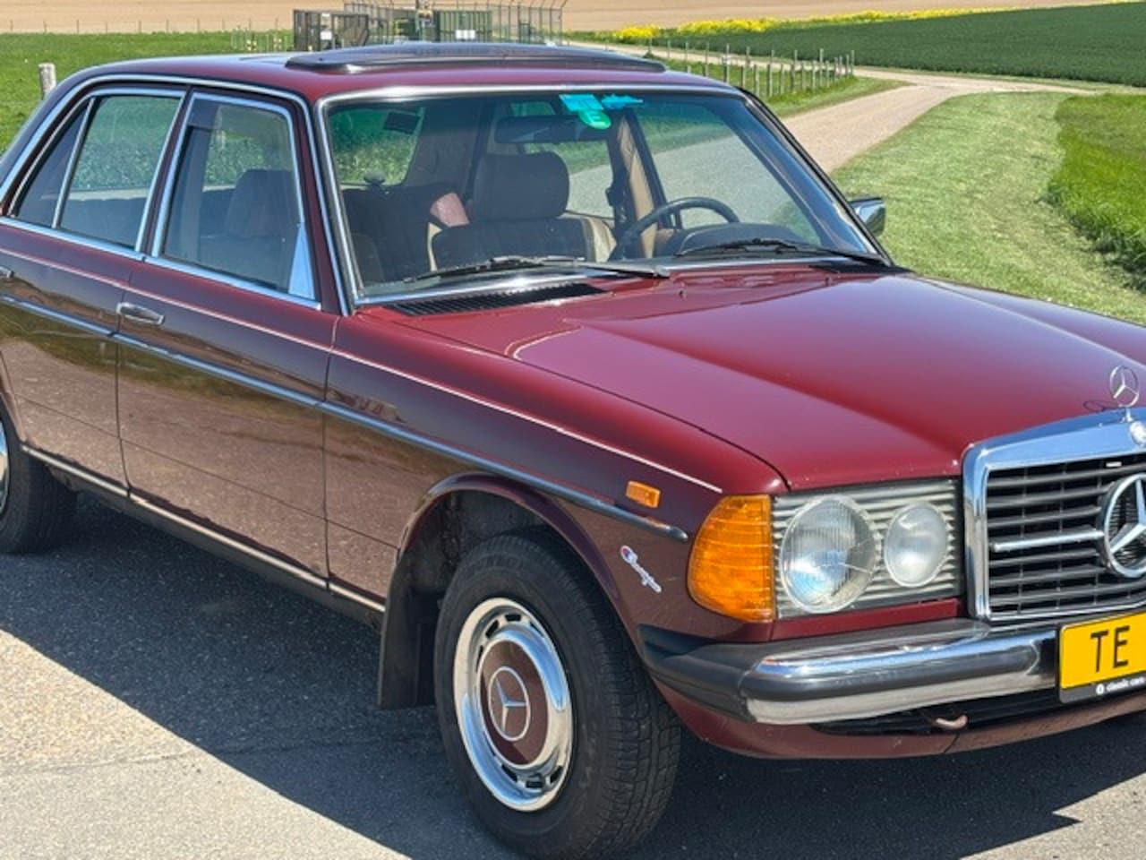 Mercedes-Benz 200-280 (W123) - 240 D 240 D - AutoWereld.nl
