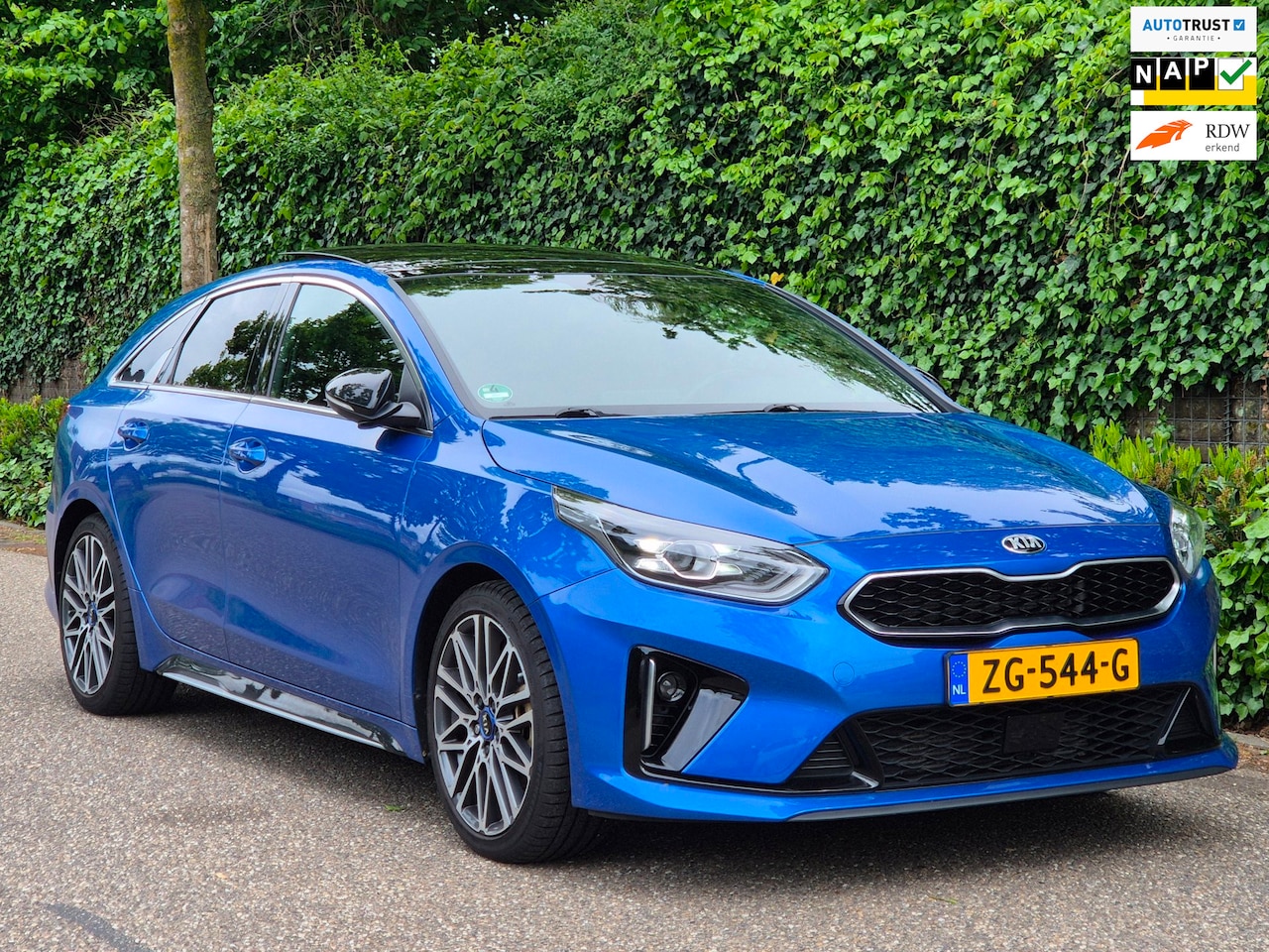 Kia Pro cee'd - T-GDI GT-PlusLine VOL OPTIE Panorama Keyless LED ACC Line Assist Camera 1.4 T - AutoWereld.nl