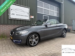 BMW 2-serie Cabrio - 230i High Executive|Leder|Camera|Cruise|