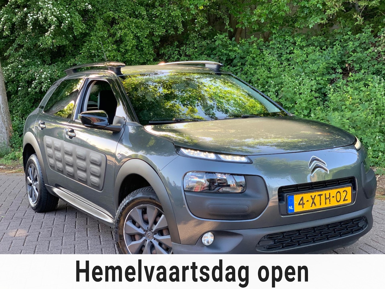 Citroën C4 Cactus - 1.6 BlueHDi Feel LUXE UITVOERING ! - AutoWereld.nl
