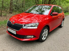 Skoda Fabia - 1.0 TSI Clever Carplay Airco Parkeersensoren Stoelverw USB