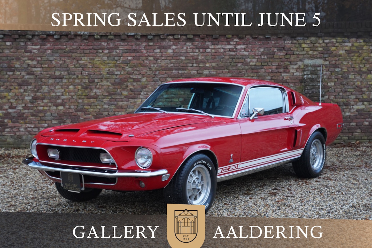 Ford Mustang - Shelby GT350 PRICE REDUCTION An icon among classic American muscle cars, SAAC Shelby regis - AutoWereld.nl