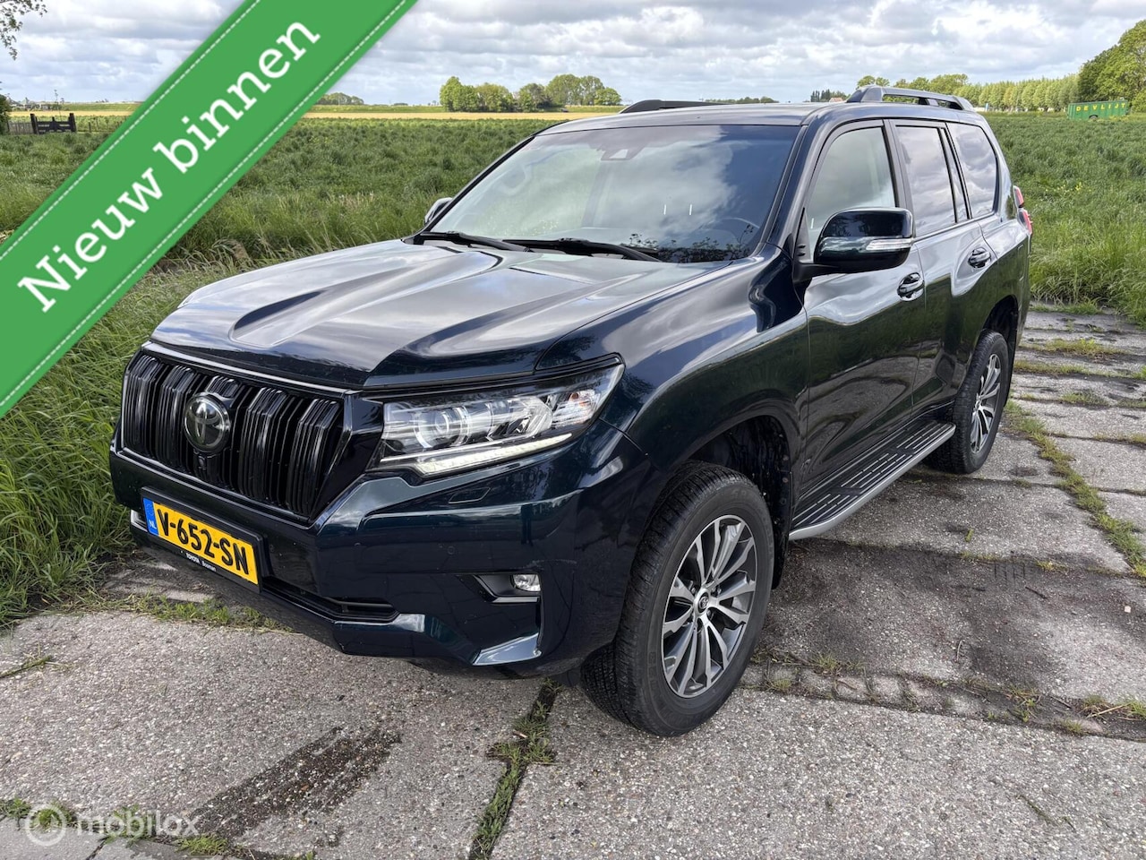 Toyota Land Cruiser - 2.8 D-4D-F Executive Window Van 2.8 D-4D-F Executive Window Van - AutoWereld.nl