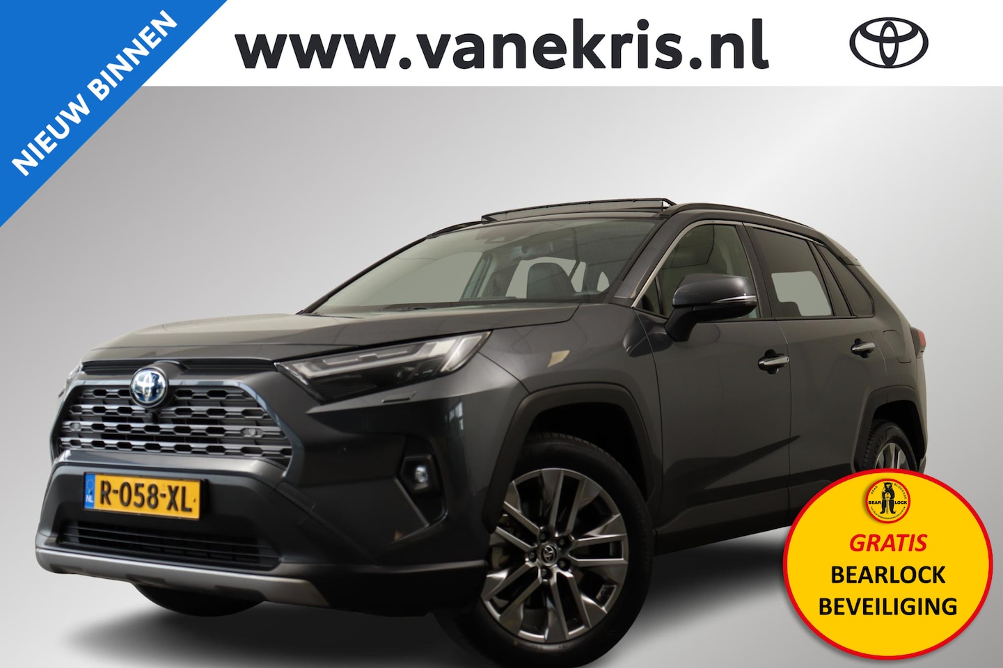 Toyota RAV4 - 2.5 Hybrid AWD Executive 2.5 Hybrid AWD Executive, Panodak - AutoWereld.nl