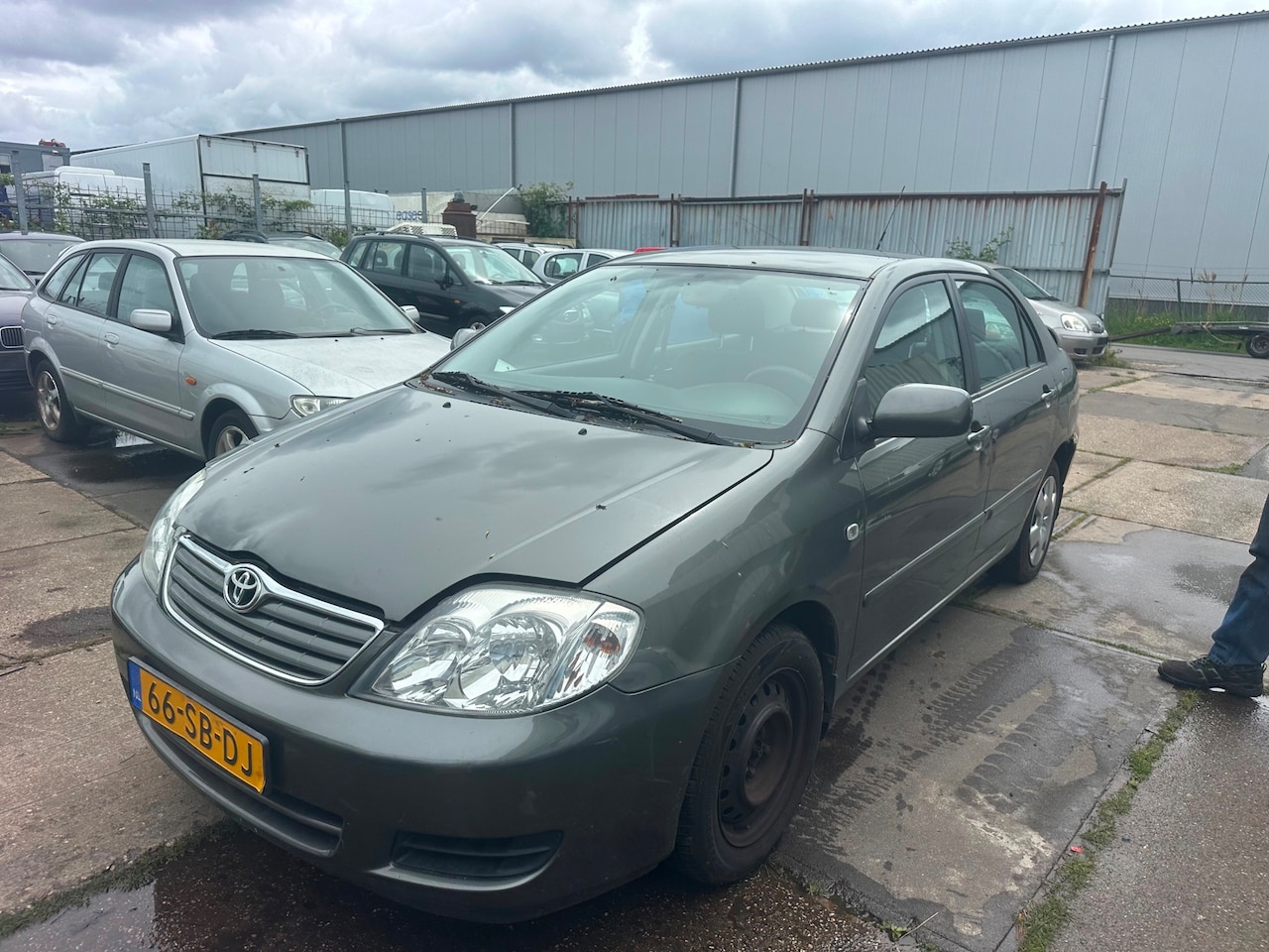 Toyota Corolla - 1.6 VVT-i Linea Terra 1.6 VVT-i Linea Terra - AutoWereld.nl