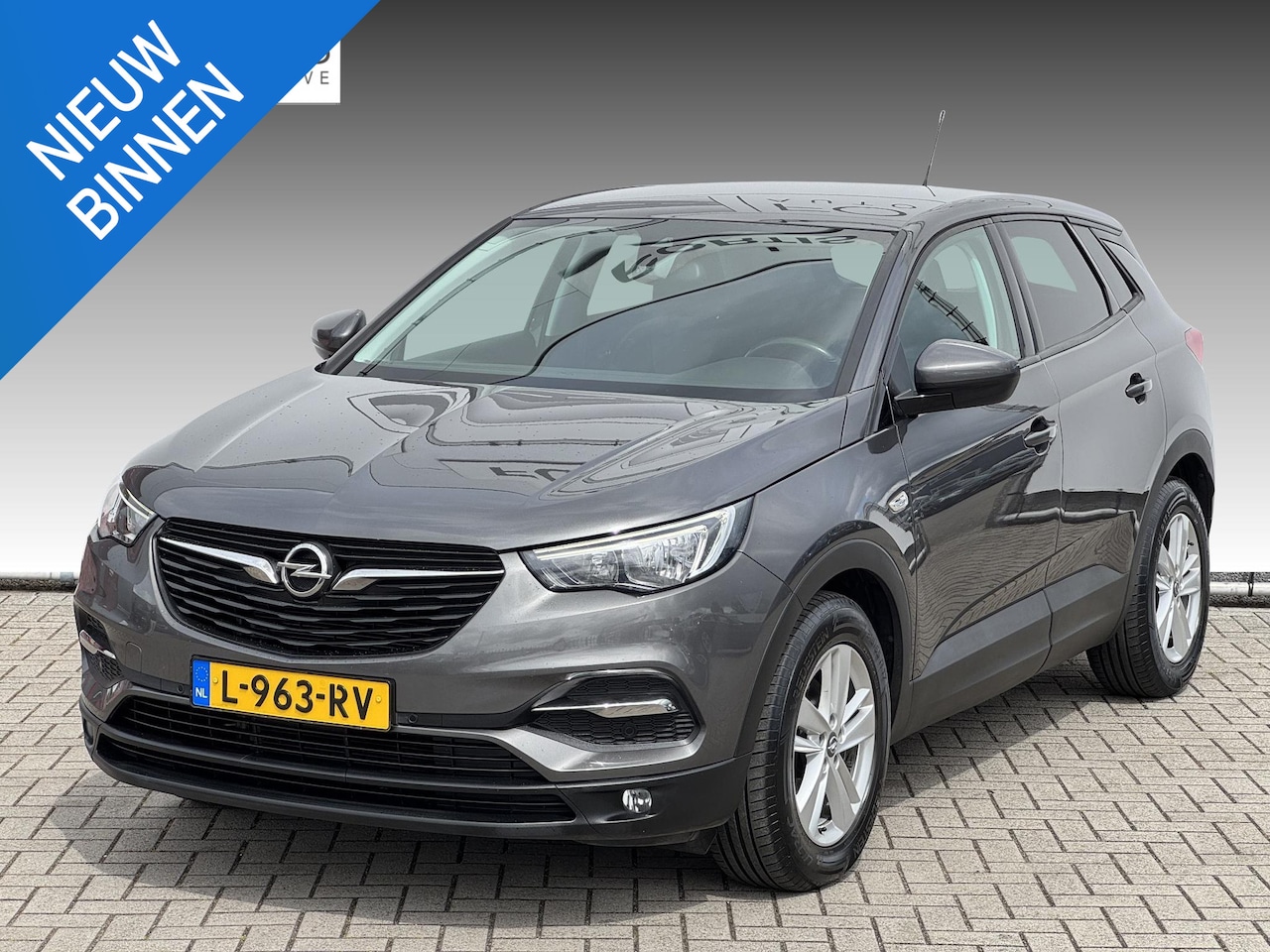 Opel Grandland X - 1.2 Turbo Business Edition TREKHAAK | WINTER PACK| CARPLAY NAVI - AutoWereld.nl
