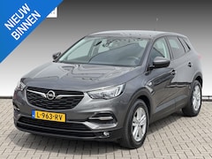 Opel Grandland X - 1.2 Turbo Business Edition TREKHAAK | WINTER PACK| CARPLAY NAVI