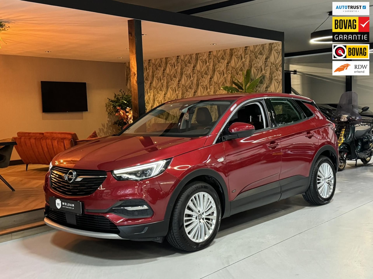 Opel Grandland X - 1.6 Turbo Hybrid4 Innovation Garantie Camera Elek Achterklep Carplay Blindspot Cruise Clim - AutoWereld.nl