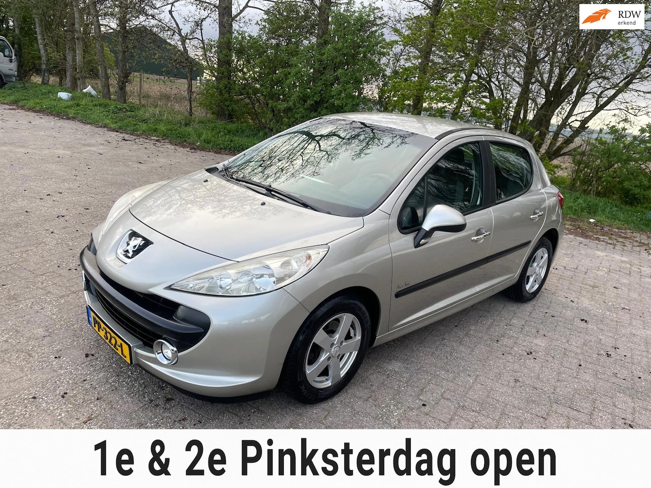 PEUGEOT 207