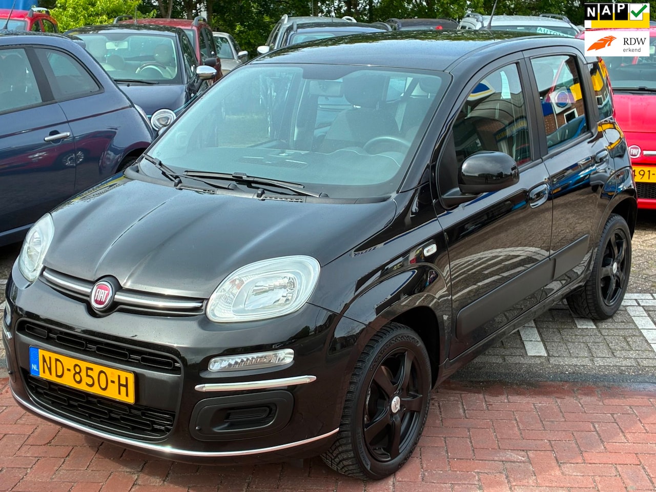 Fiat Panda - 1.2 Lounge 1.2 Lounge - AutoWereld.nl