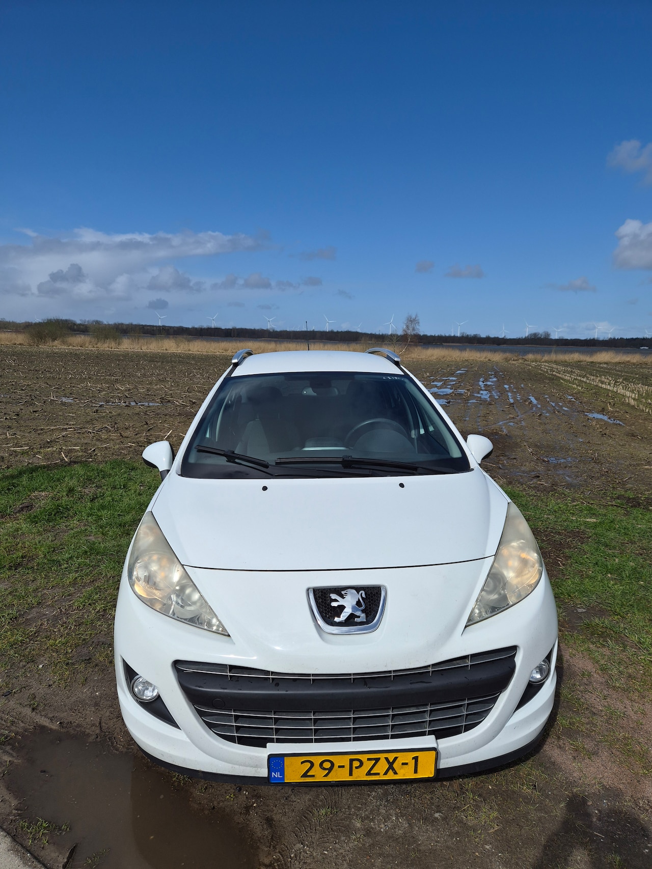 Peugeot 207 SW - 1.4 VTi Blue Lease Executive Benzine/LPG G3 - AutoWereld.nl