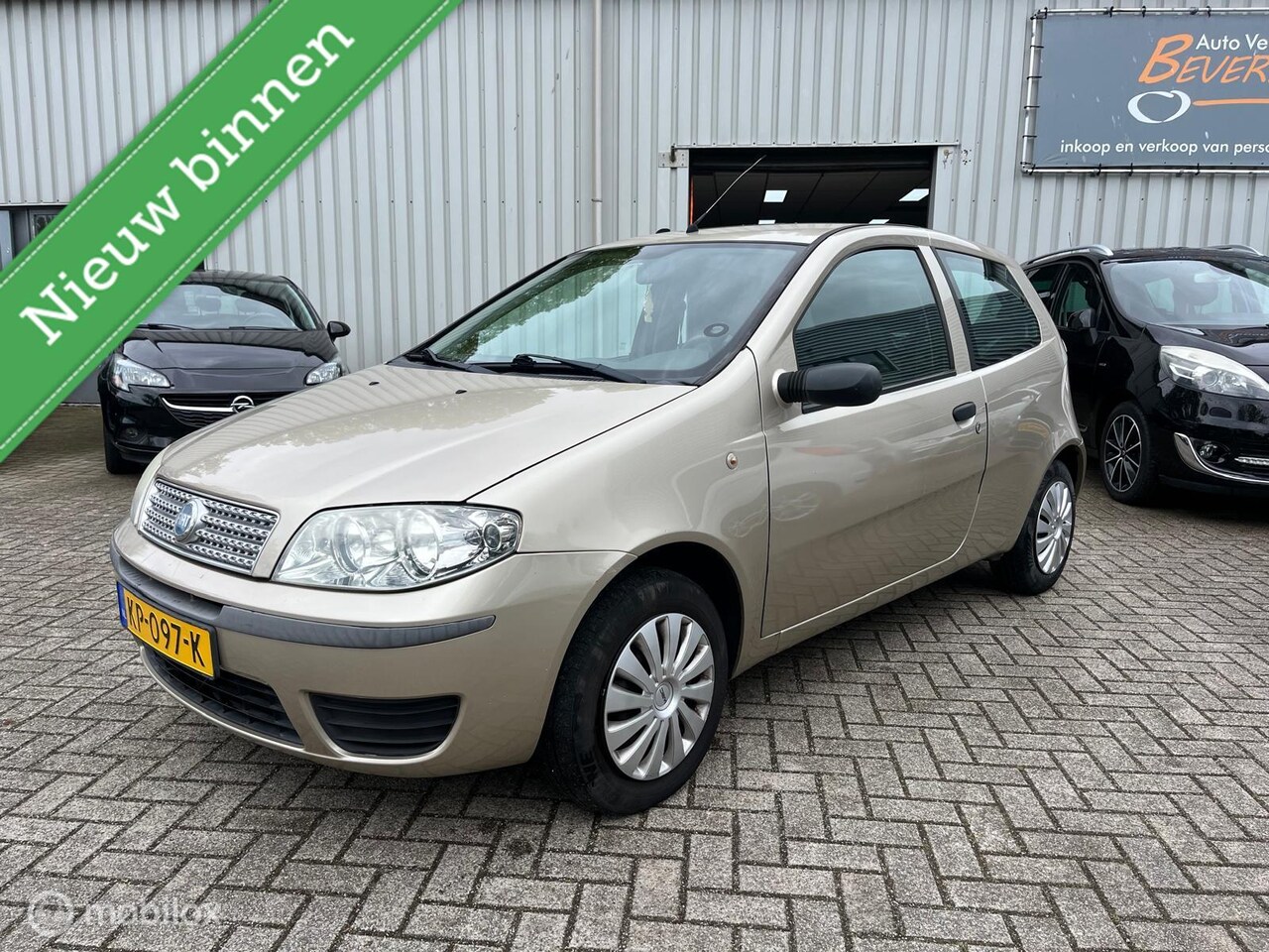Fiat Punto - 1.2 Classic Edizione Cool 1.2 Classic Edizione Cool - AutoWereld.nl