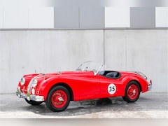 Jaguar XK - XK140 SE OTS M1166