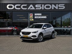 Opel Grandland X - 1.2 Turbo Business Elegance APPLE CARPLAY/ DAB