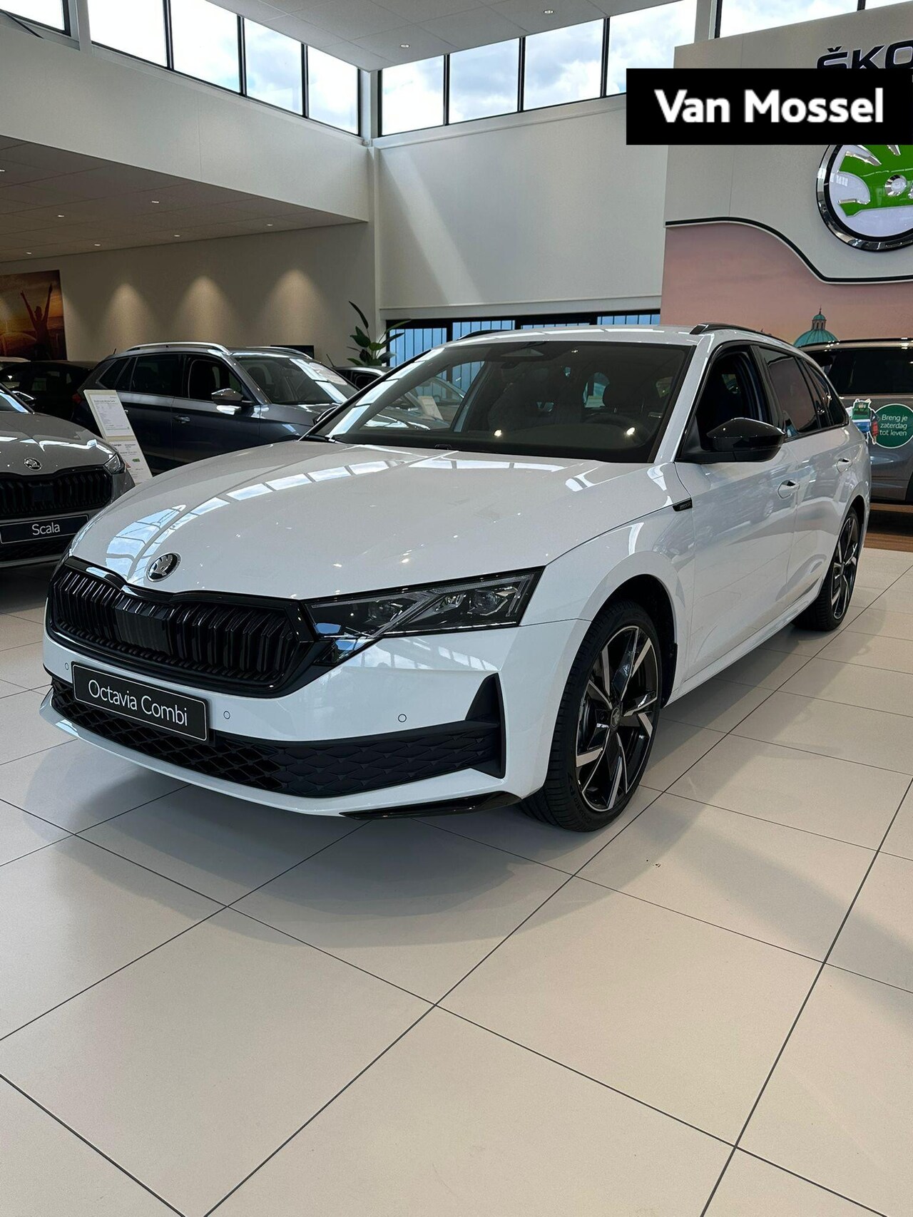 Skoda Octavia Combi - 1.5 TSI MHEV Sportline Business 150 PK | Automaat | Stoelverwarming | Parkeersensoren | Ad - AutoWereld.nl