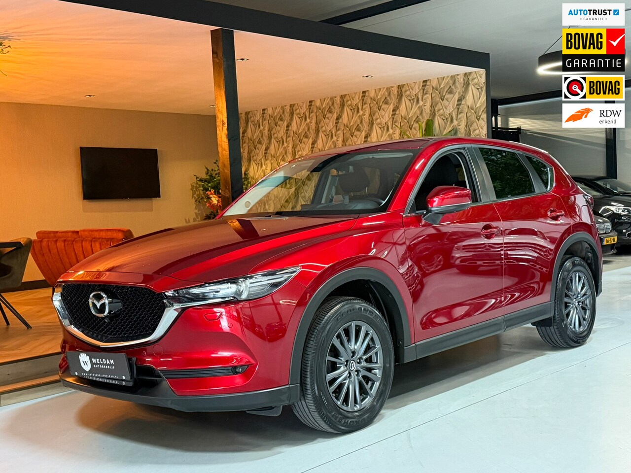 Mazda CX-5 - 2.0 4WD SkyActiv-G 165 Exclusive Garantie Head-Up 360 Camera StuurVW StoelVW Keyless Cruis - AutoWereld.nl