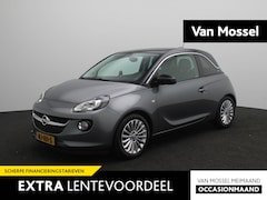 Opel ADAM - 1.0 Turbo Glam Favourite | Panoramadak | Leder | Climate control