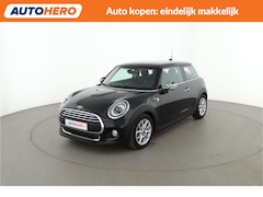 MINI One - 1.5 Pepper |NL28467|