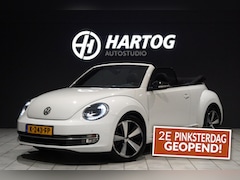 Volkswagen Beetle Cabriolet - 1.2 TSI Club + CAMERA / XENON / APPLE CARPLAY