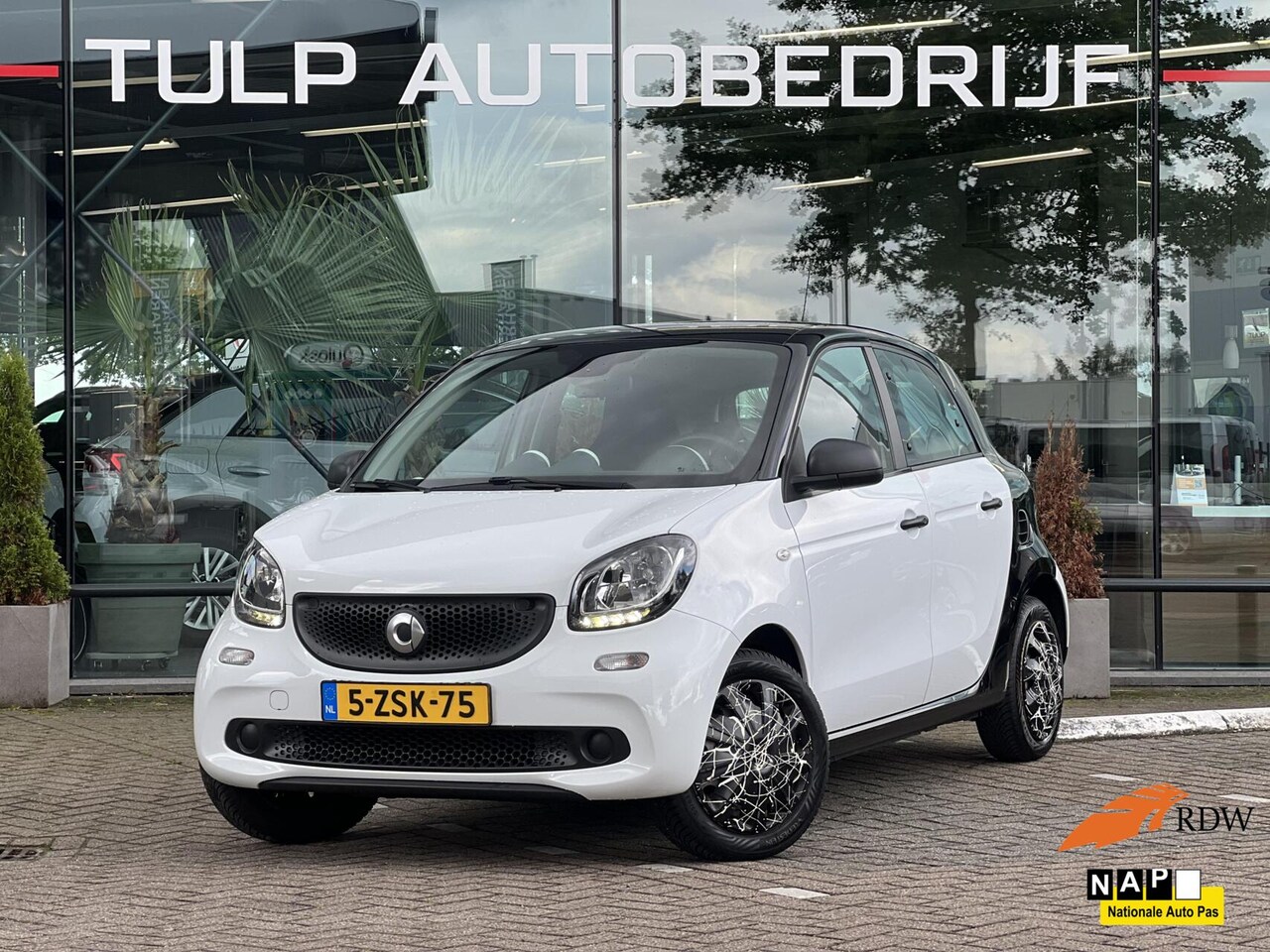 Smart Forfour - 1.0 Essential Edition Topstaat! NLauto NAP - AutoWereld.nl
