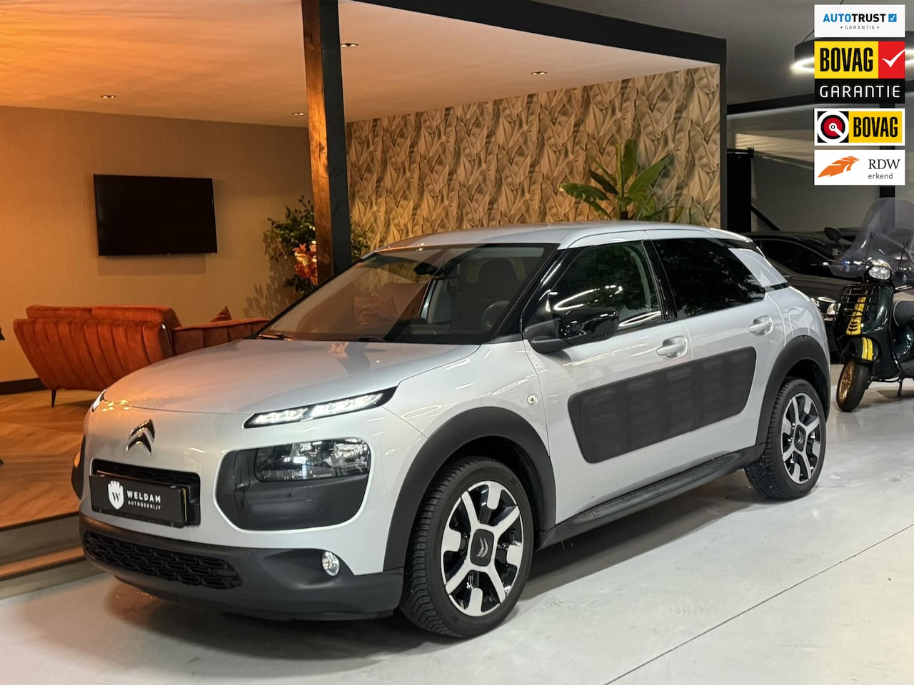 Citroën C4 Cactus - 1.2 Shine NAP Garantie Nieuwe Riem Trekhaak Cruise Navi Led Clima Rijklaar - AutoWereld.nl