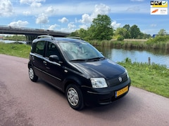 Fiat Panda - 1.2 Actual |NW APK|NW STAAT|