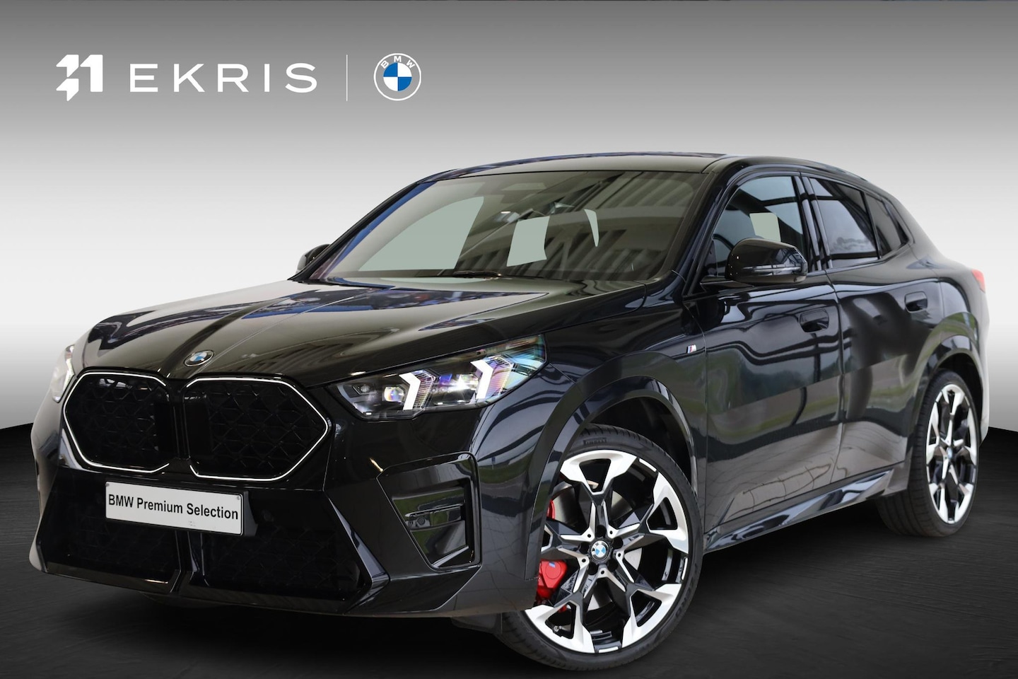 BMW X2 - sDrive20i M Sportpakket Pro | Driving Assistant Professional | Panoramadak | Comfort Acces - AutoWereld.nl