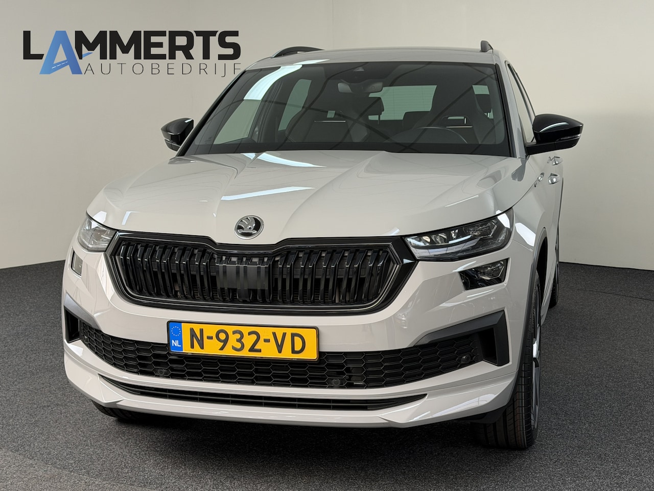 Skoda Kodiaq - 1.5 TSI Sportline Business Camera/ PDC / Verw. Stuur & Stoelen / Afn Trekhaak / Carplay / - AutoWereld.nl