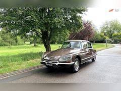 Citroën DS - Nederlandse 23 PALLAS