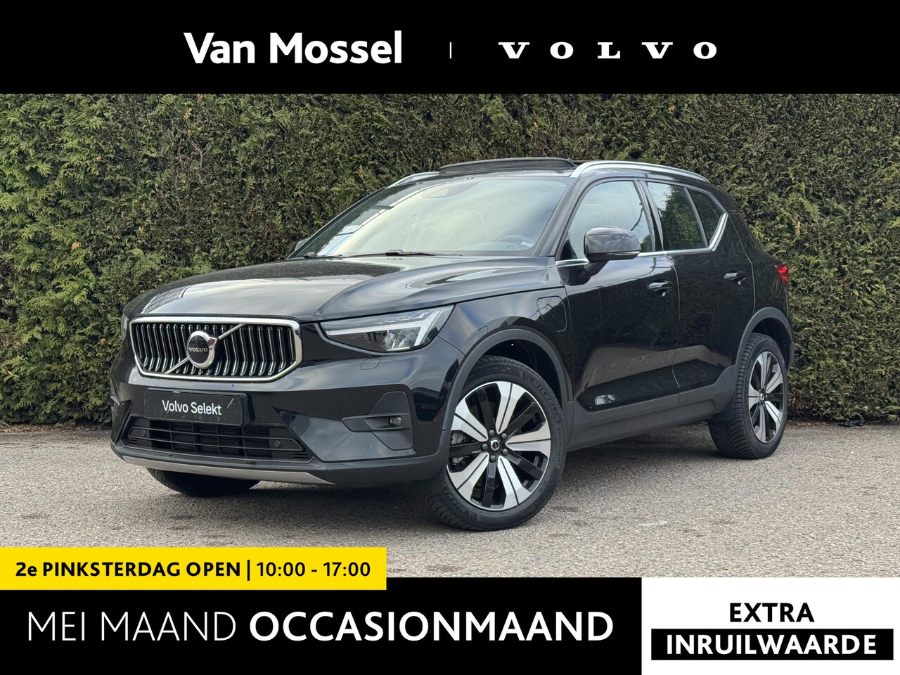 Volvo XC40 - T5 Recharge Inscription | Pilot assist | All- season | H&K Audio | Camera | Stuur + stoelv - AutoWereld.nl
