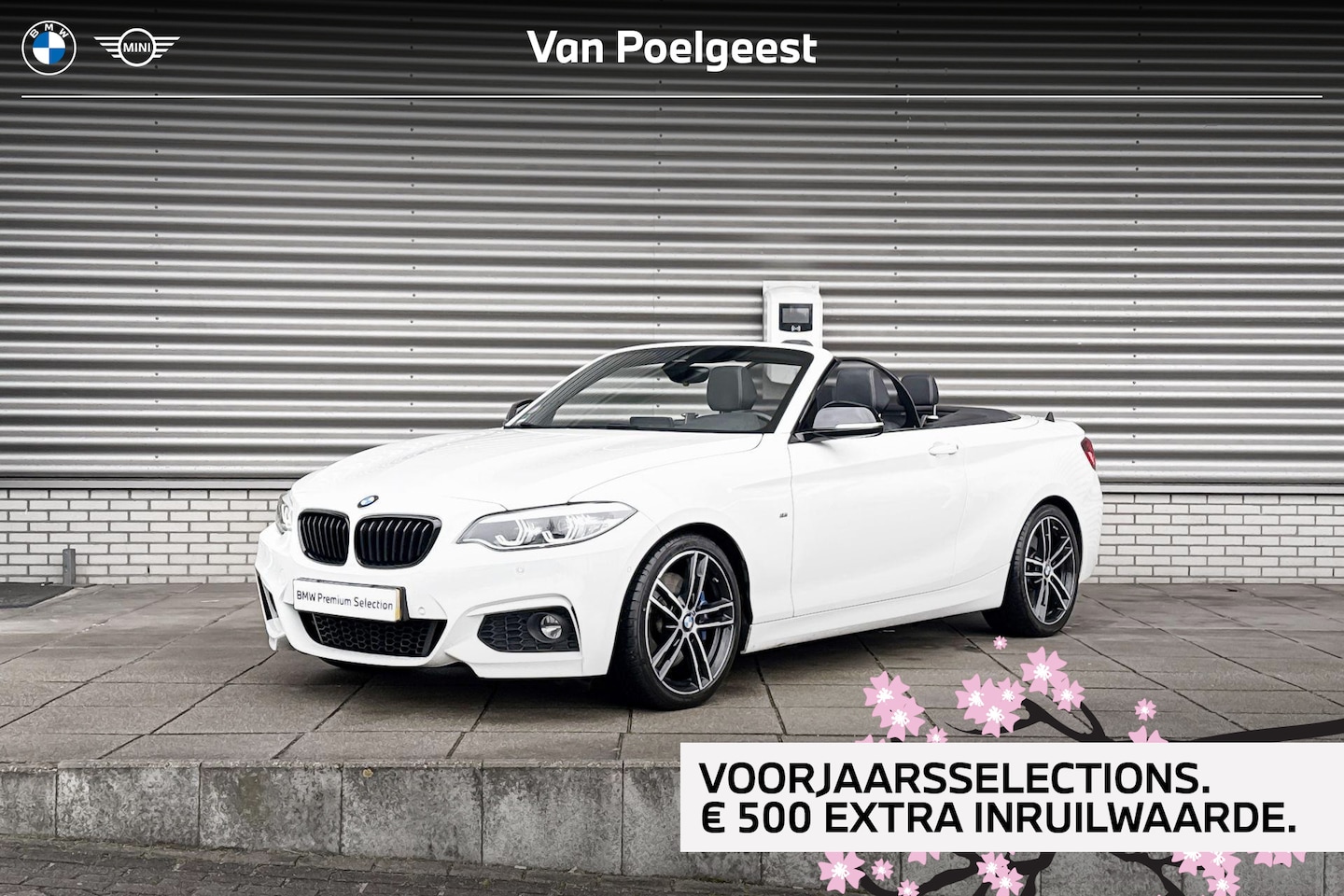 BMW 2-serie Cabrio - 220i High Executive Edition Selections 500 - AutoWereld.nl