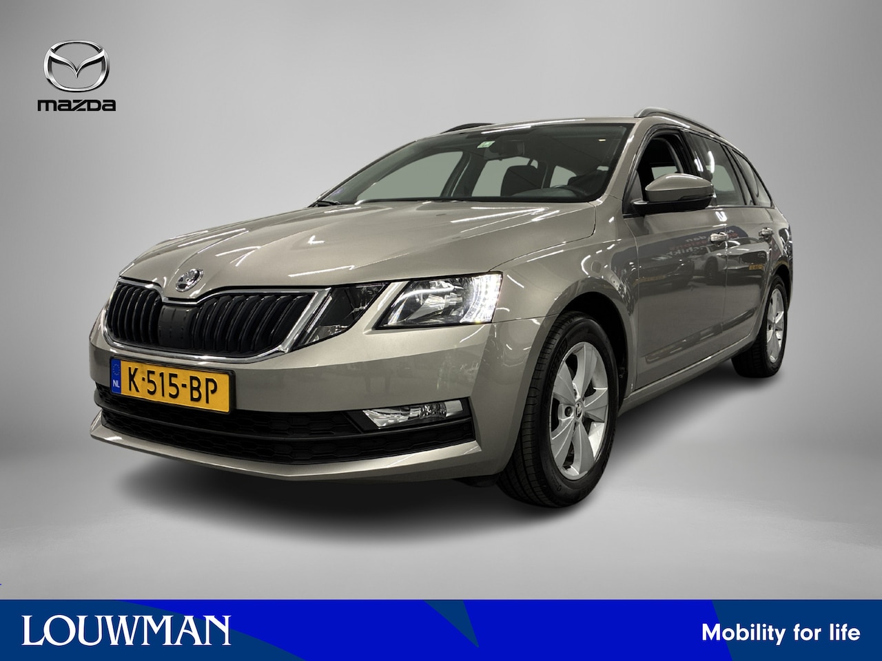 Skoda Octavia Combi - 1.0 TSI Greentech Ambition Business graag poetsen en foto's - AutoWereld.nl