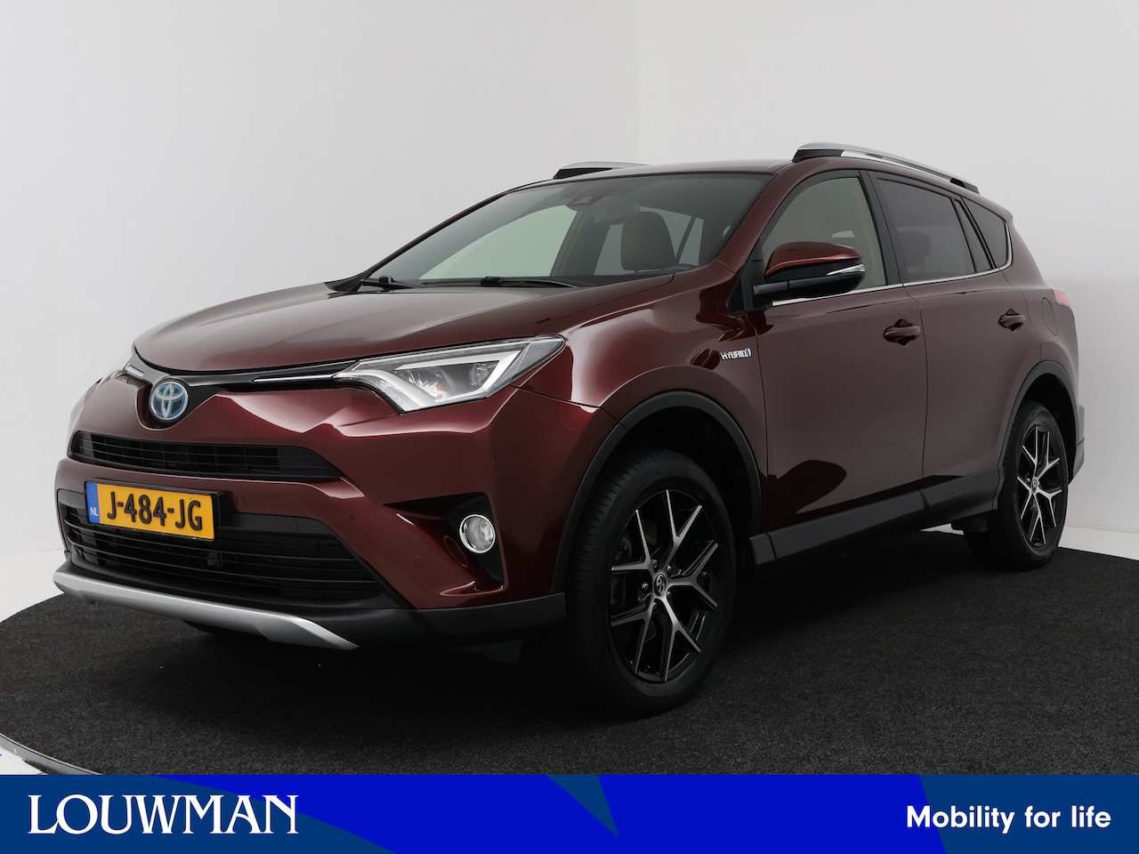 Toyota RAV4 - 2.5 Hybrid Executive Business | Bearlock | Trekhaak | - AutoWereld.nl