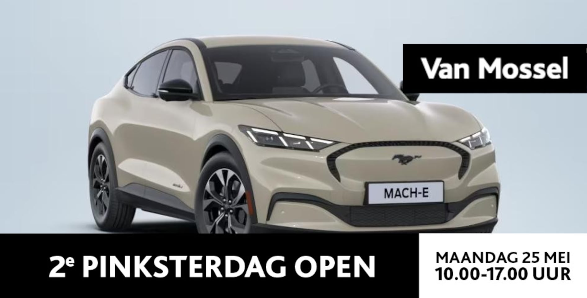 Ford Mustang Mach-E - Standard RWD 73 kWh FORD VOORDEEL €1000 | Adapt. Cruise | Matrix LED | Winterpack | Warmte - AutoWereld.nl