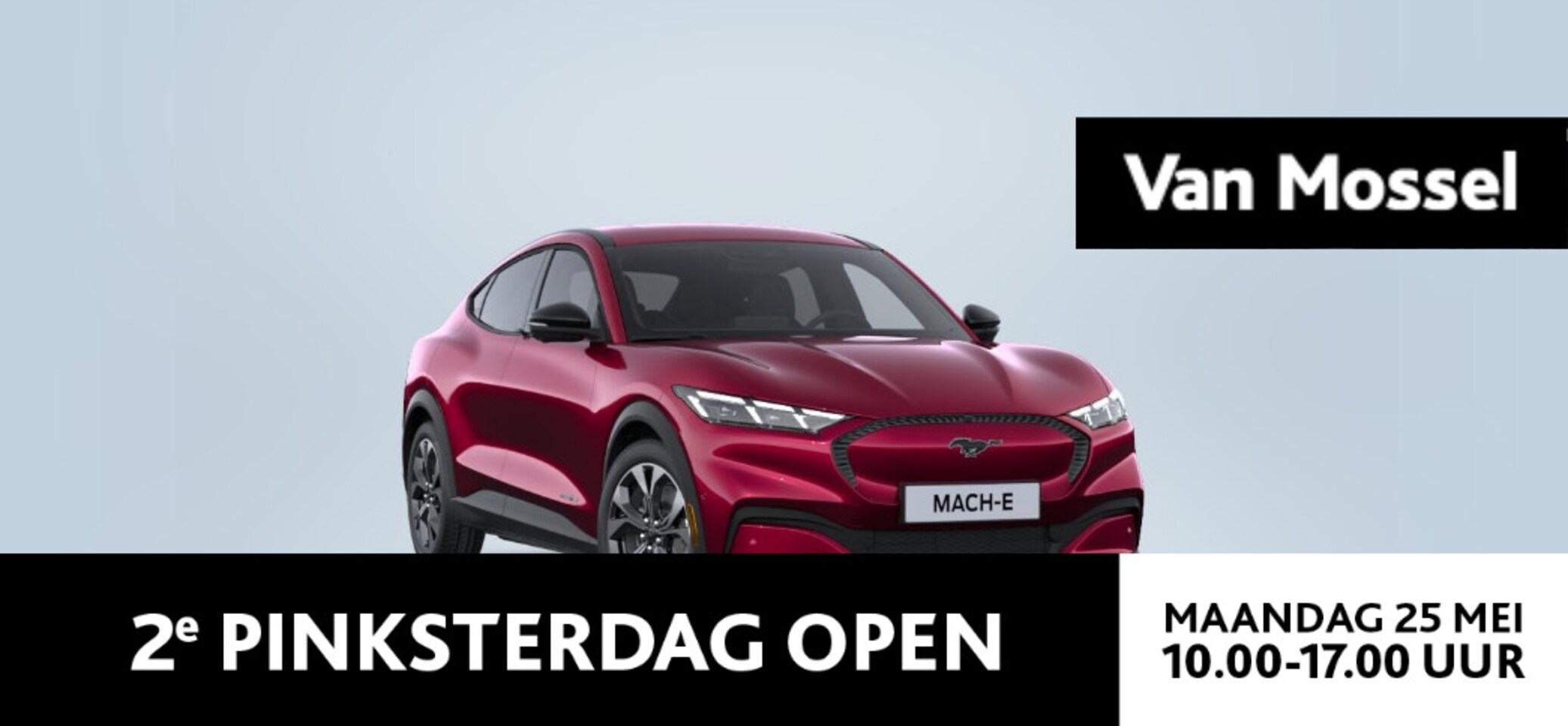 Ford Mustang Mach-E - Standard RWD 73 kWh | Uit Voorraad Leverbaar | Inclusief 1000 Euro Ford Voordeel | - AutoWereld.nl